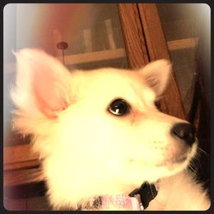 Meet your Posher, Christiana